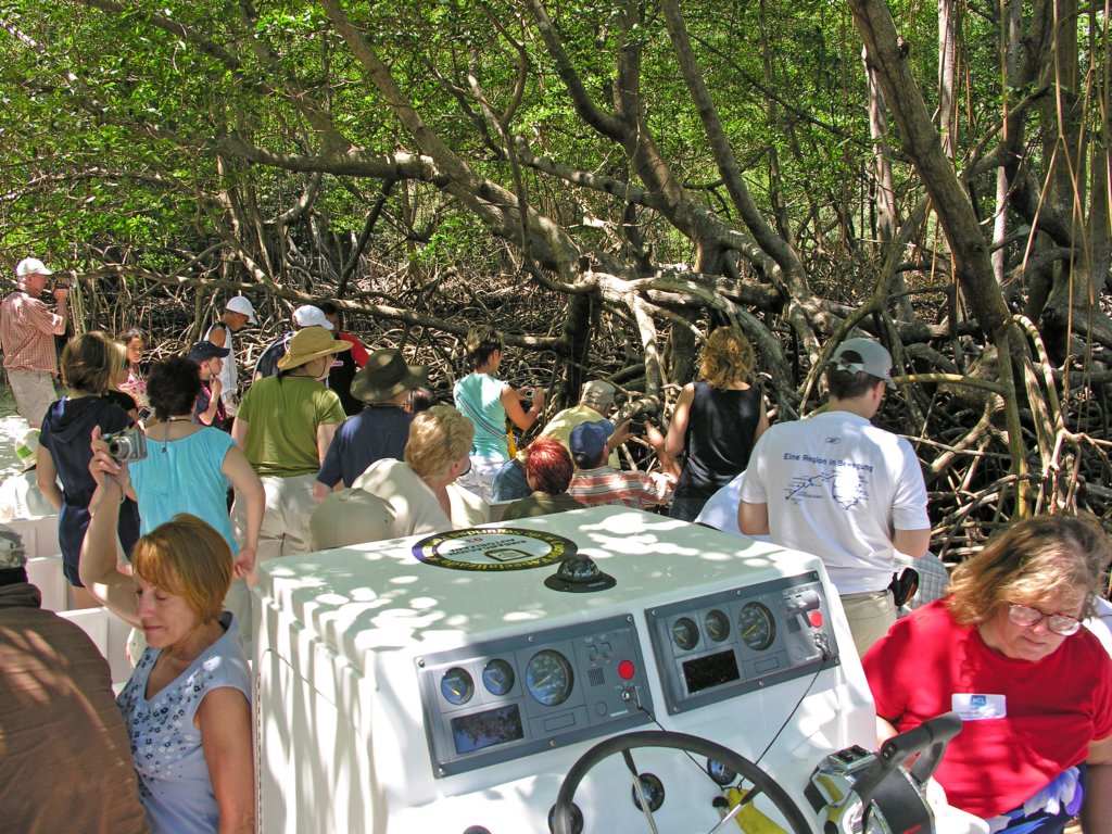 day3samanacavesmangrovesexcursion.jpg